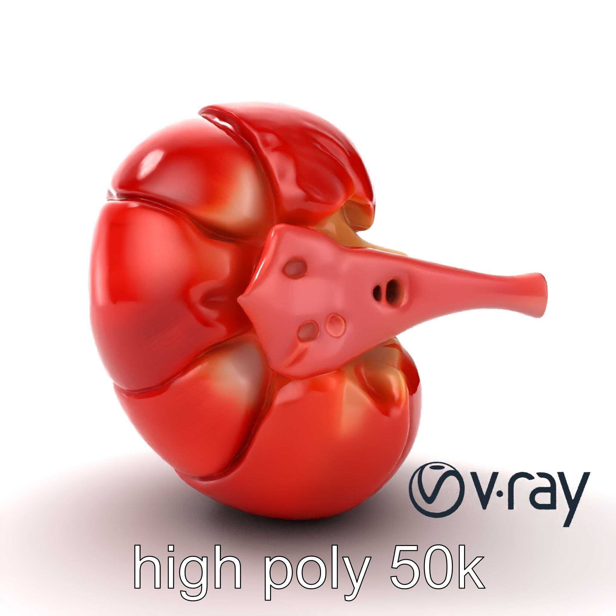 Realistic Human Kidney Anatomy model pack Low-poly 3D model_27