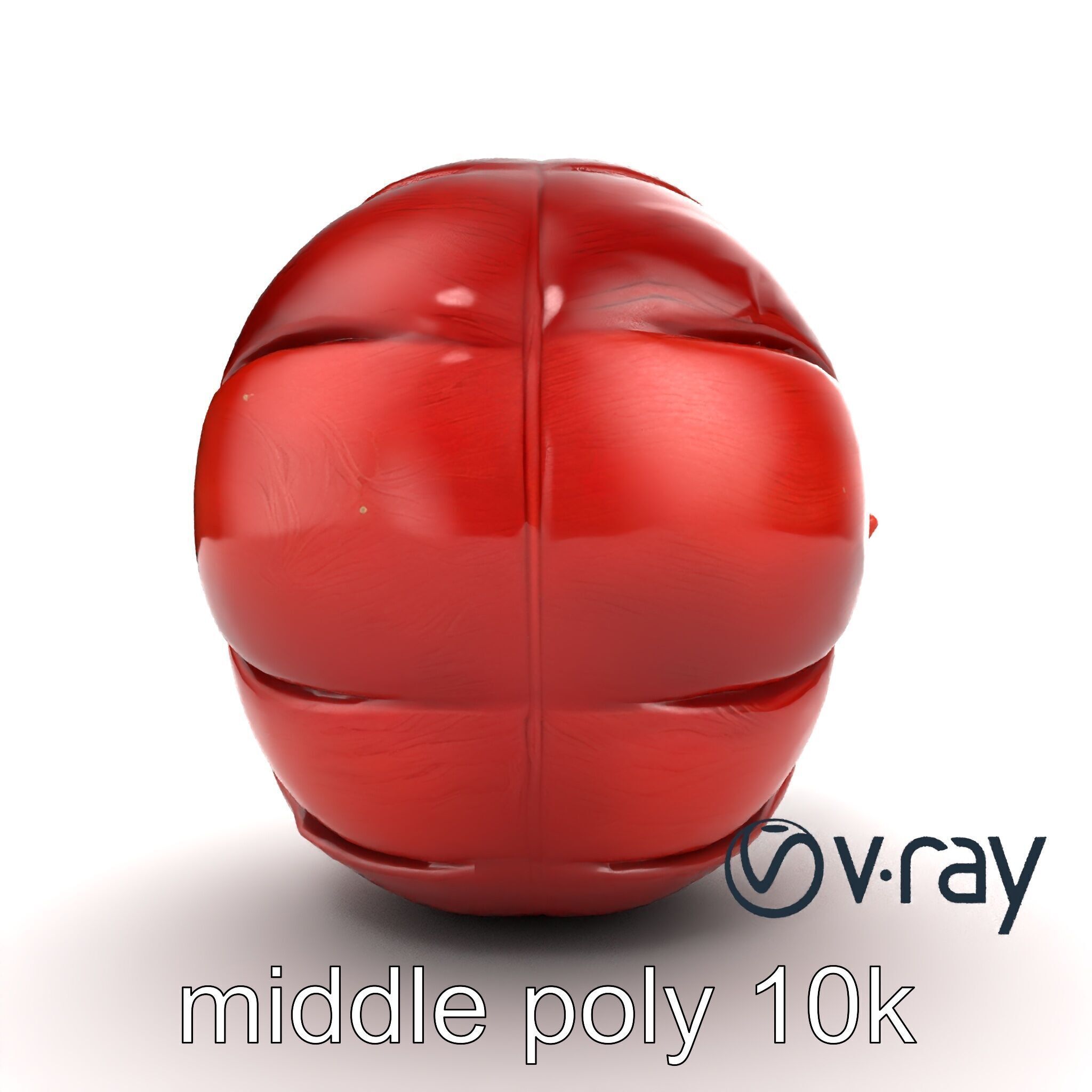 Realistic Human Kidney Anatomy model pack Low-poly 3D model_30