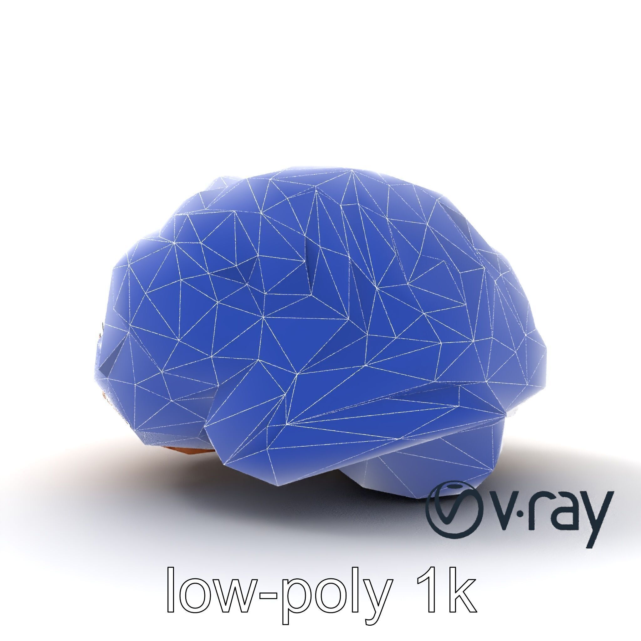 Realistic Human Brain Model Pack Low-poly 3D model_13