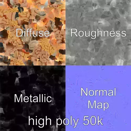 Realistic Human Brain Model Pack Low-poly 3D model