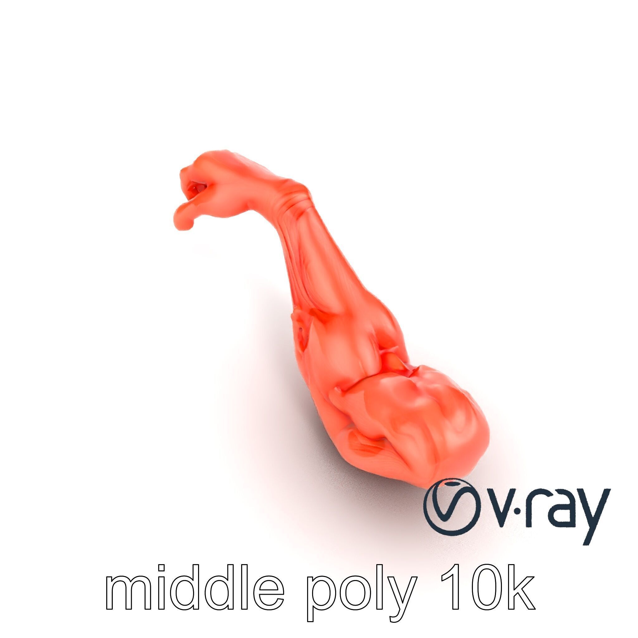 Surreal Muscle Fiber Dynamic Pose model pack Low-poly 3D model_27
