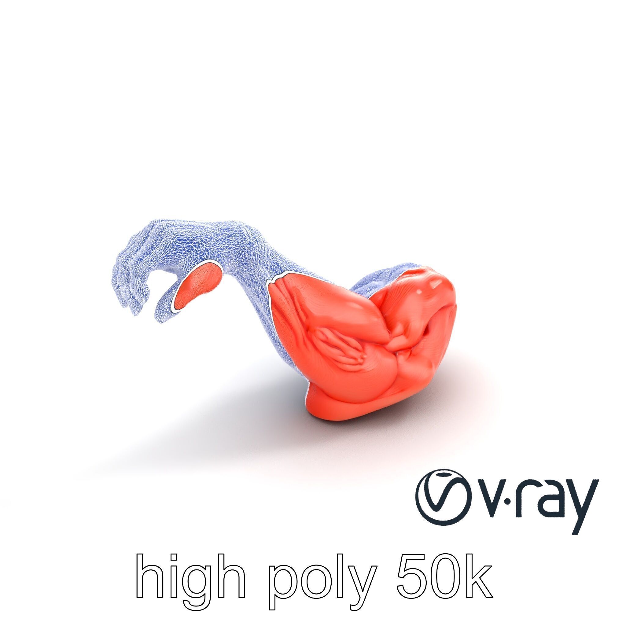 Surreal Muscle Fiber Dynamic Pose model pack Low-poly 3D model_17