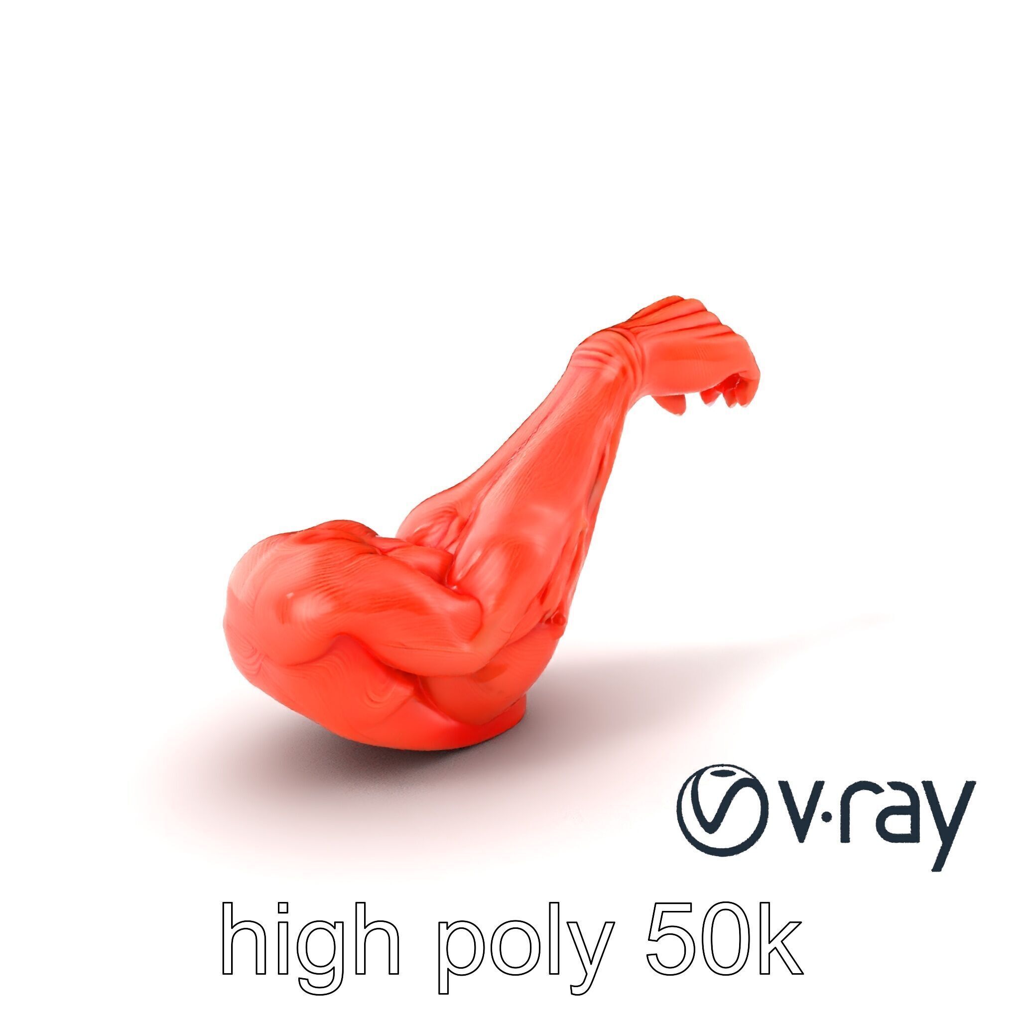 Surreal Muscle Fiber Dynamic Pose model pack Low-poly 3D model_5