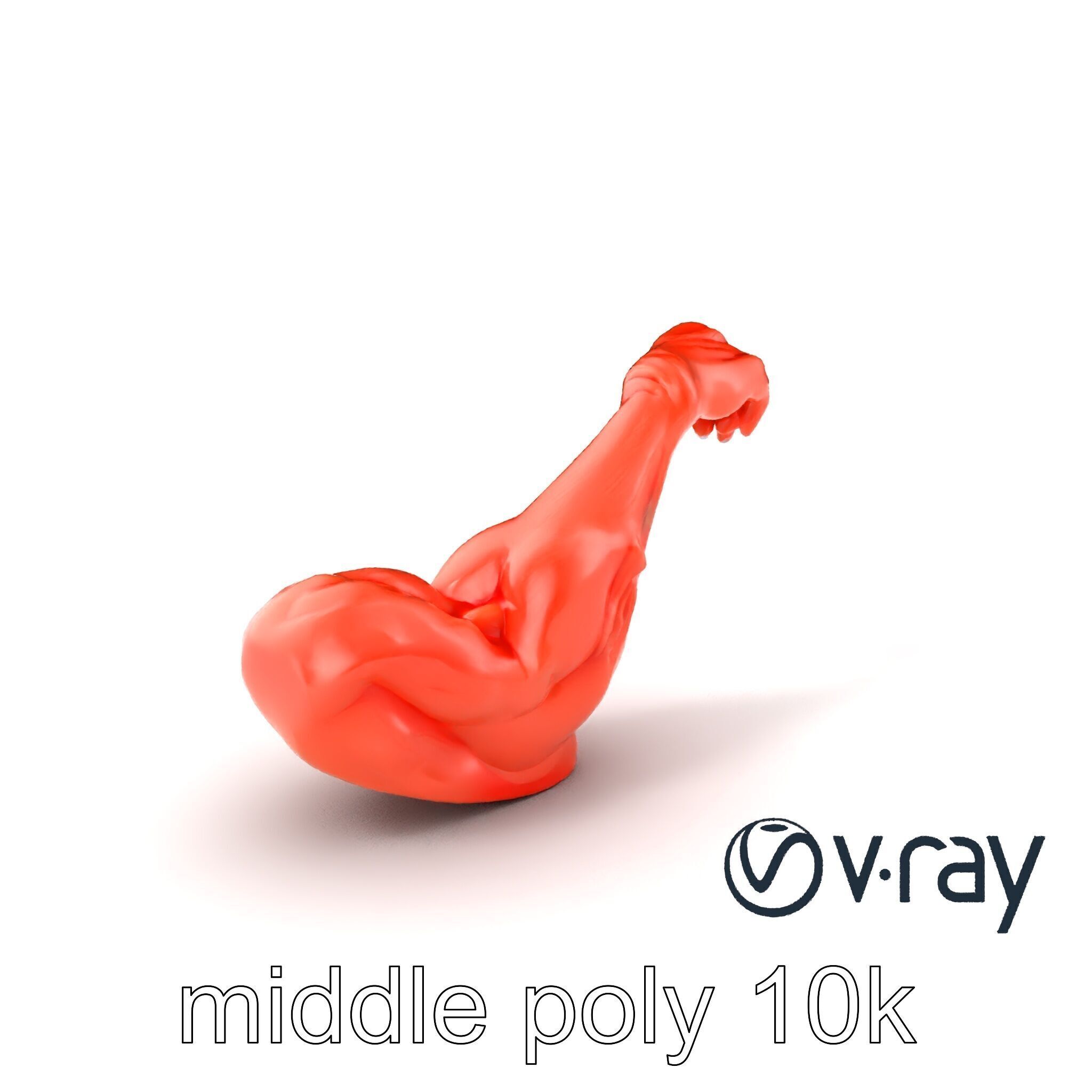 Surreal Muscle Fiber Dynamic Pose model pack Low-poly 3D model_3