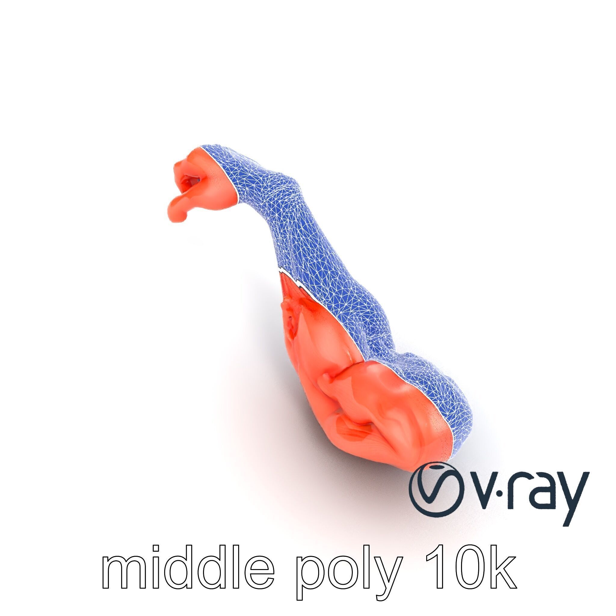 Surreal Muscle Fiber Dynamic Pose model pack Low-poly 3D model_18