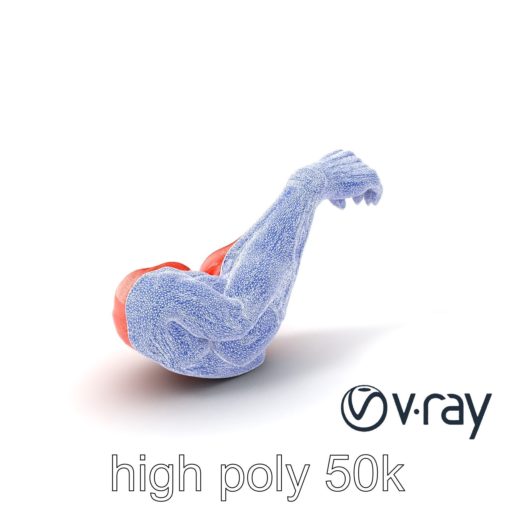 Surreal Muscle Fiber Dynamic Pose model pack Low-poly 3D model_32