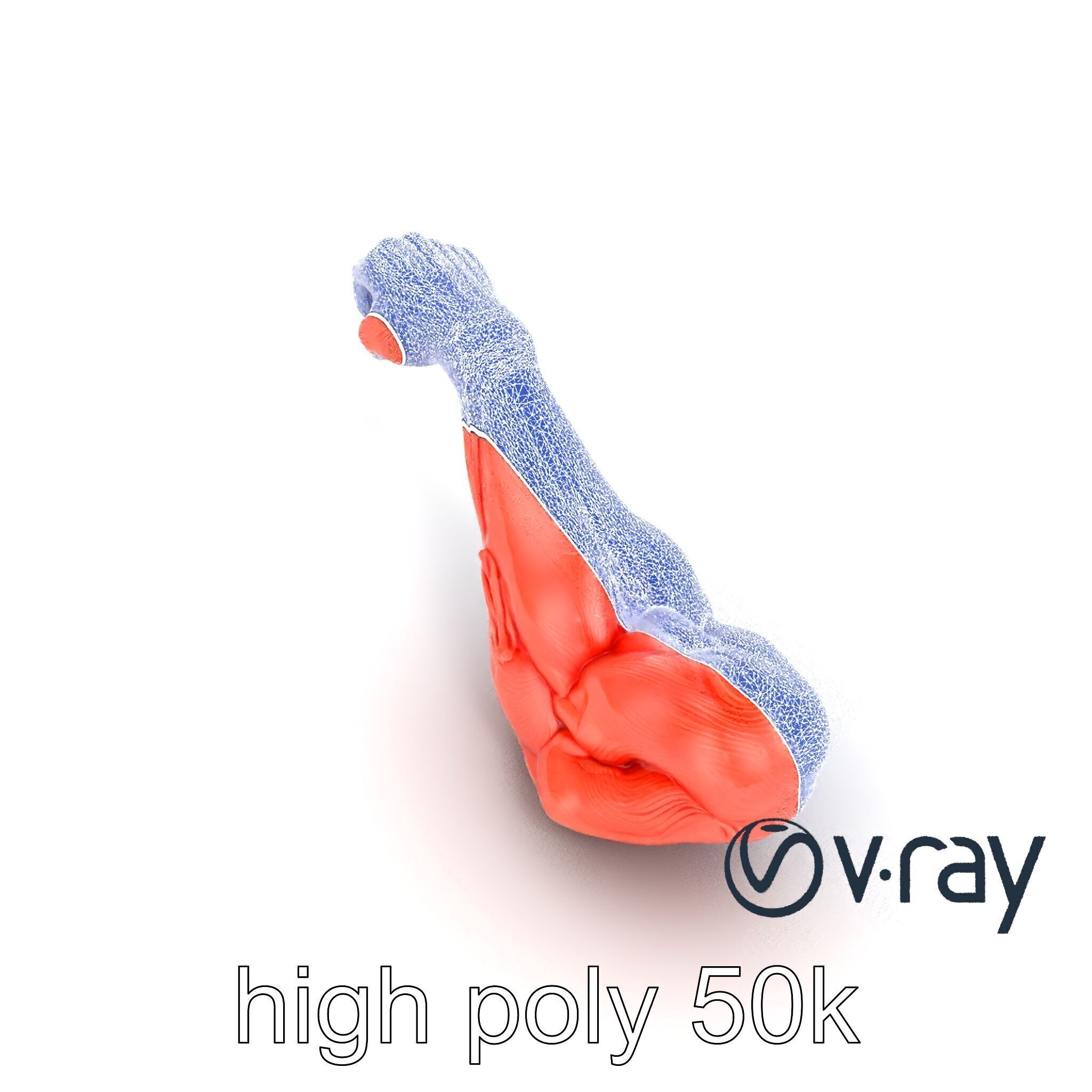 Surreal Muscle Fiber Dynamic Pose model pack Low-poly 3D model_19