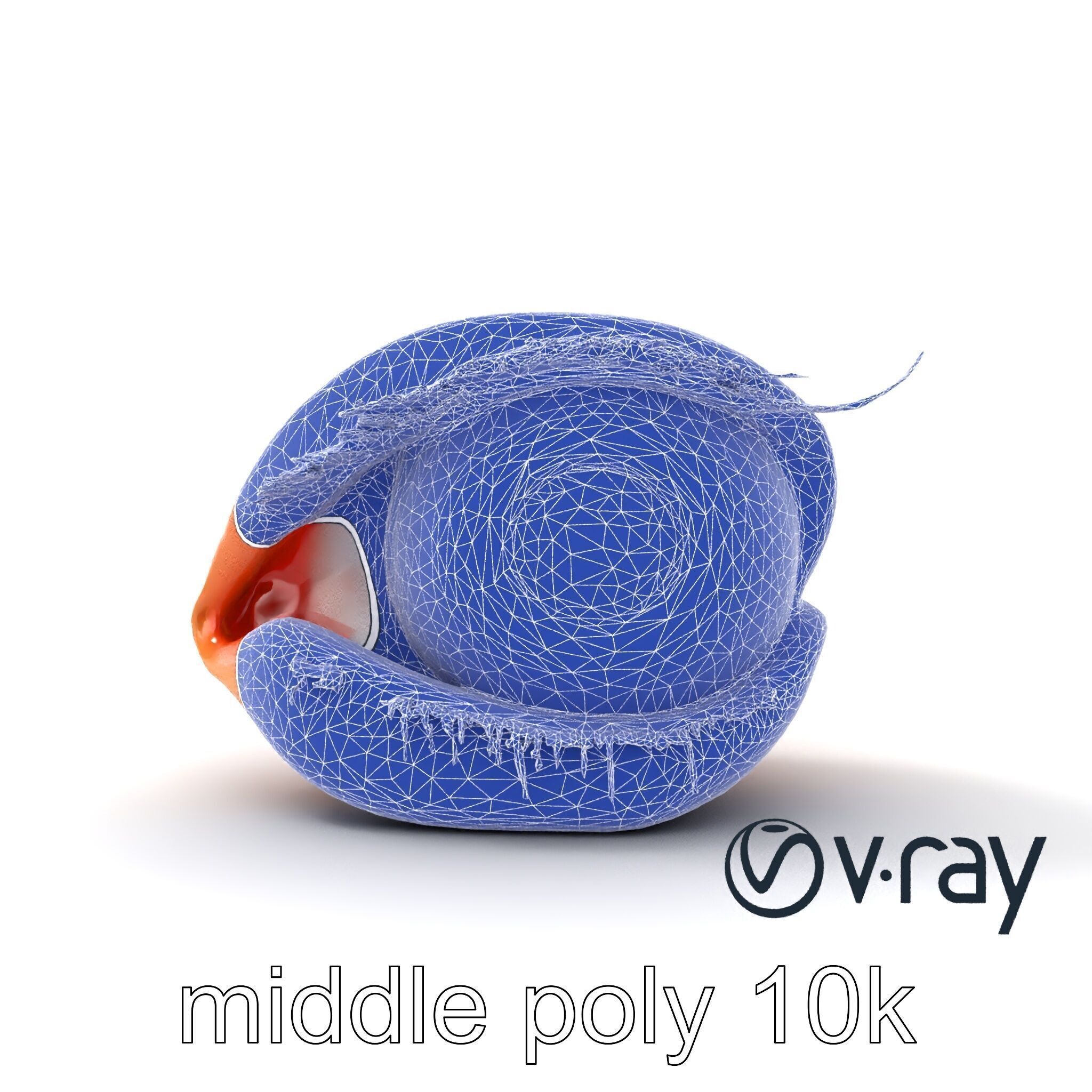 Realistic Human Eye Model Pack with Detailed Iris Low-poly 3D model_29