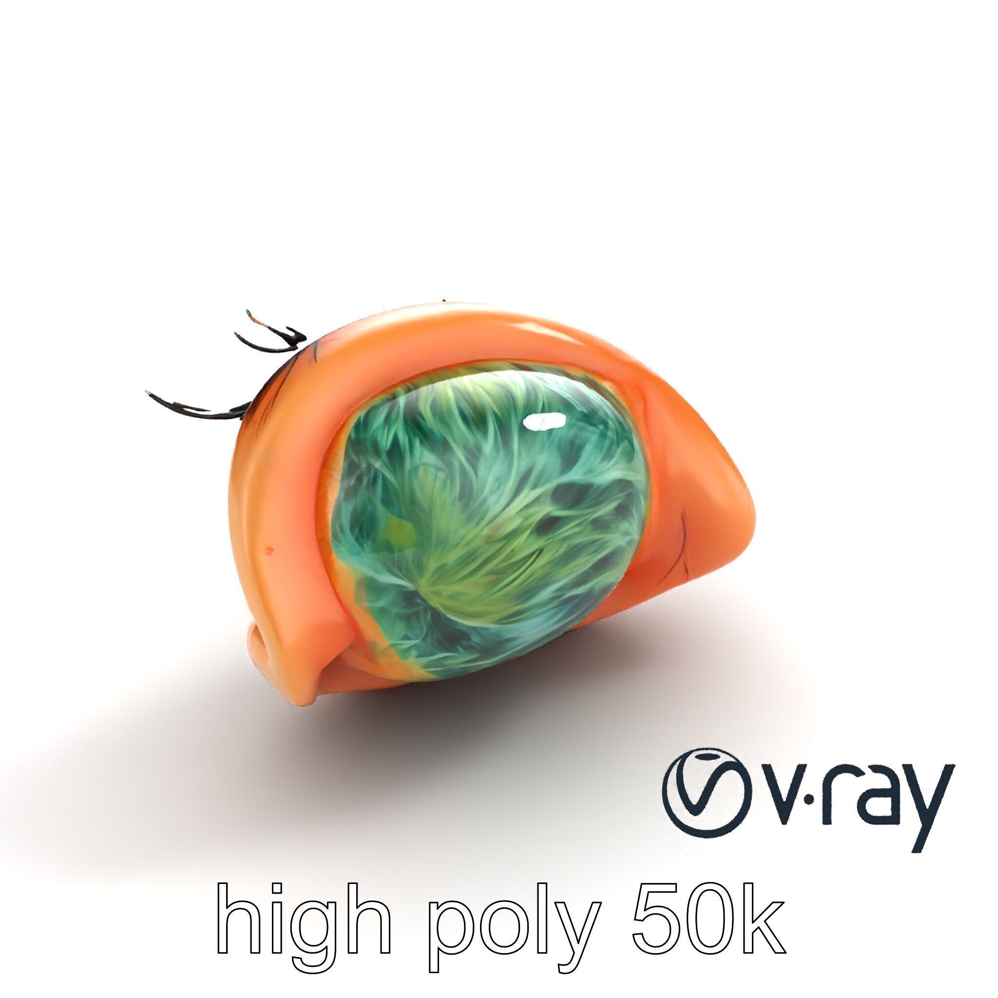 Realistic Human Eye Model Pack with Detailed Iris Low-poly 3D model_11