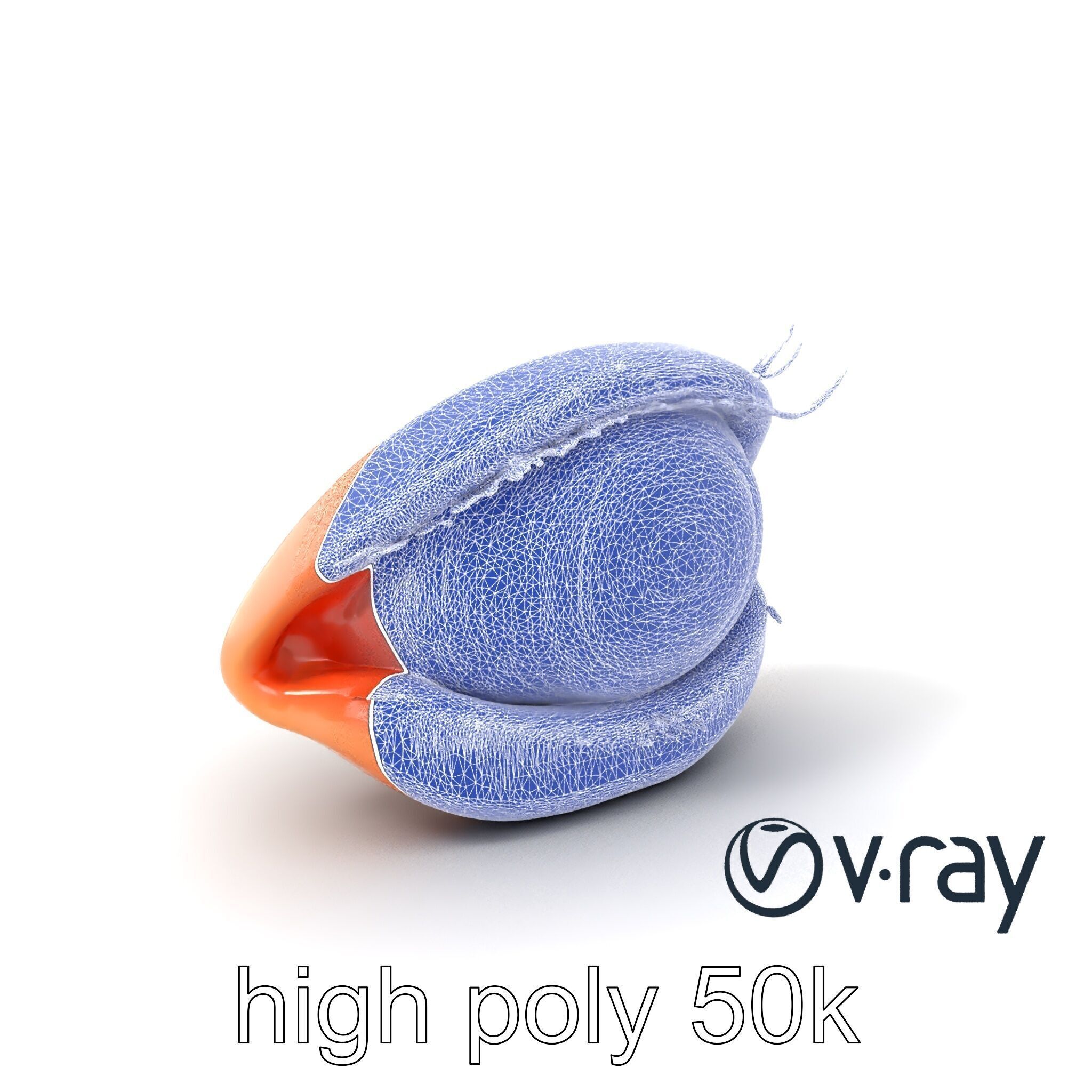 Realistic Human Eye Model Pack with Detailed Iris Low-poly 3D model_8