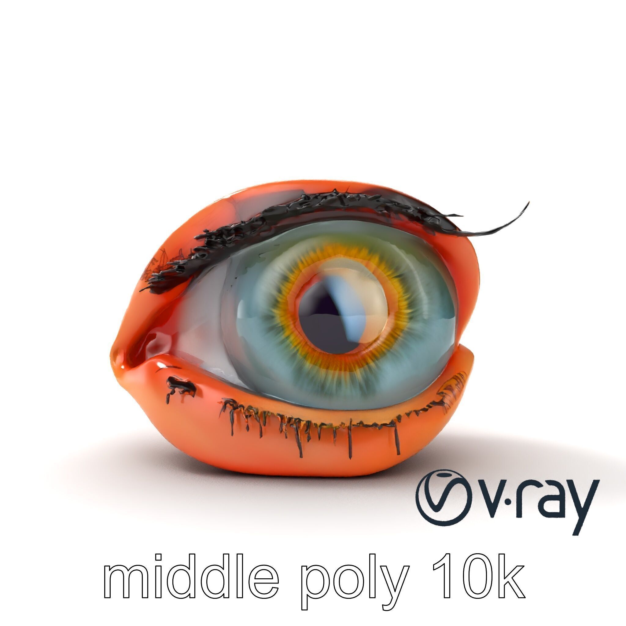 Realistic Human Eye Model Pack with Detailed Iris Low-poly 3D model_28