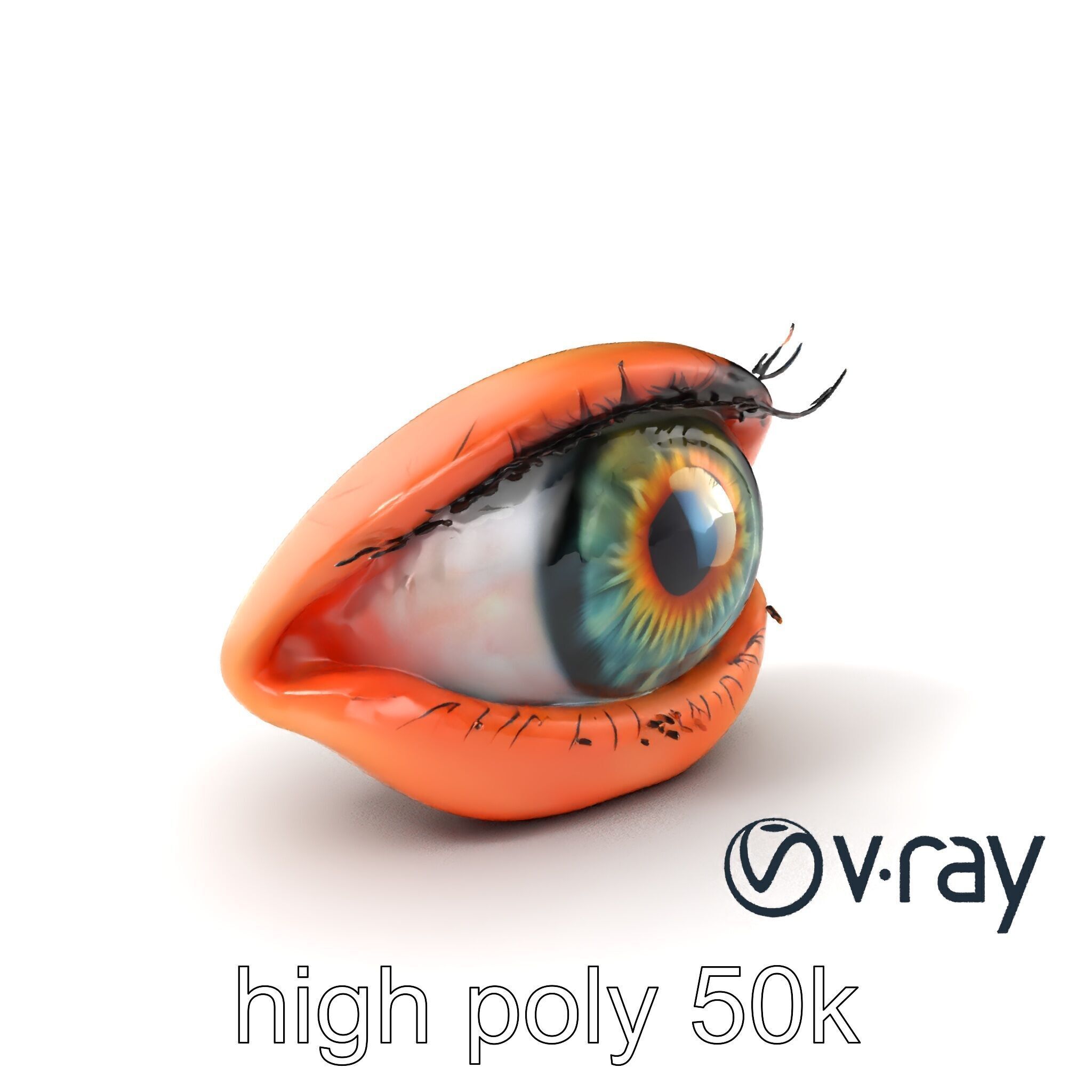 Realistic Human Eye Model Pack with Detailed Iris Low-poly 3D model_5