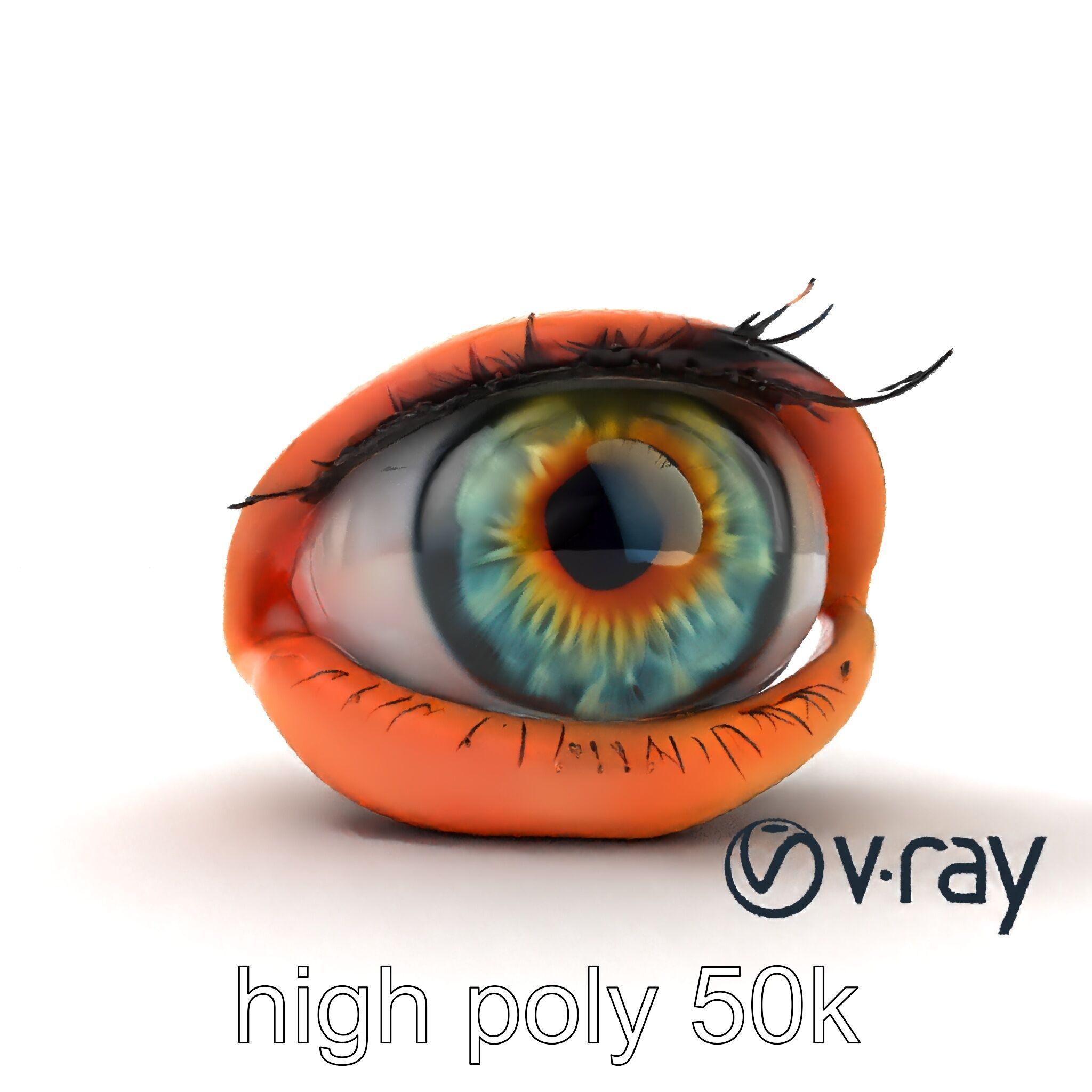 Realistic Human Eye Model Pack with Detailed Iris Low-poly 3D model_25