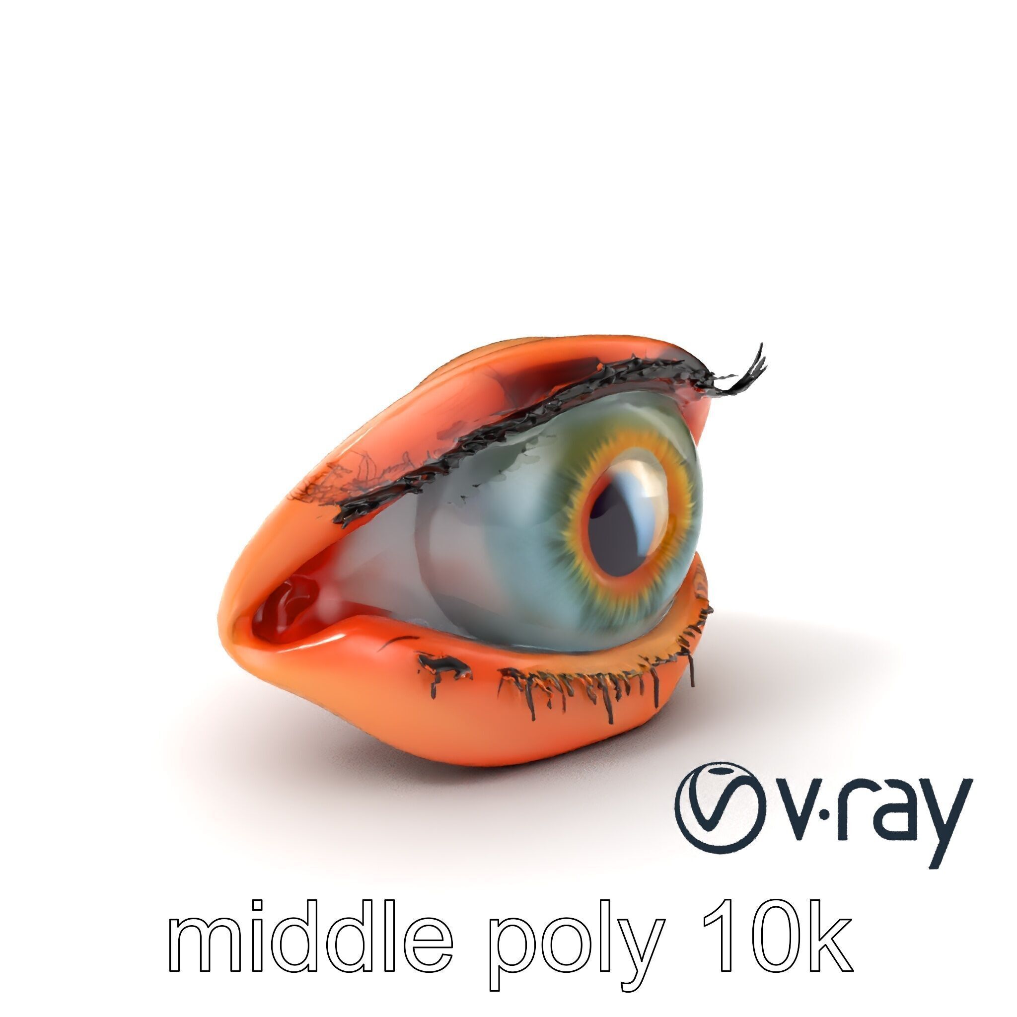 Realistic Human Eye Model Pack with Detailed Iris Low-poly 3D model_3