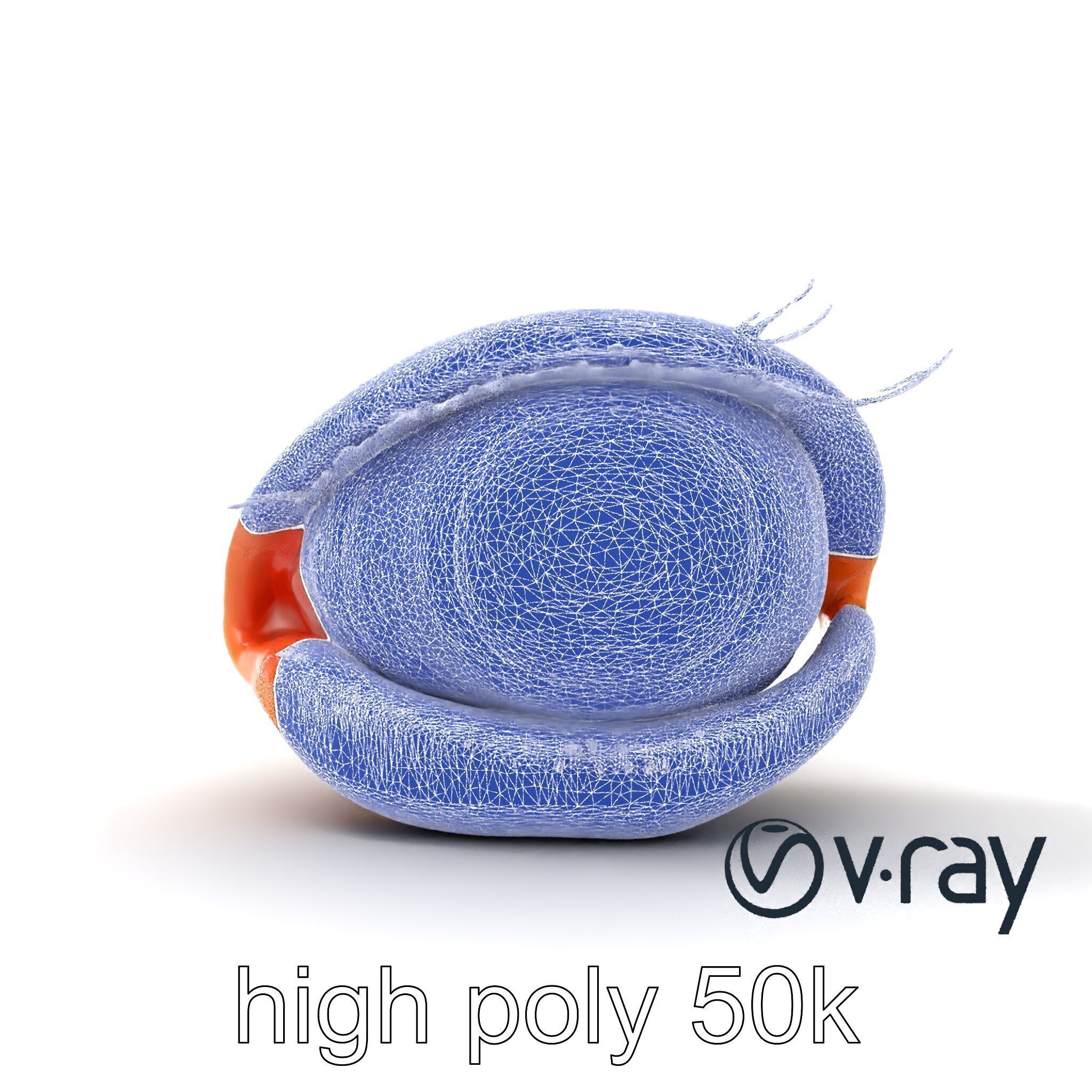 Realistic Human Eye Model Pack with Detailed Iris Low-poly 3D model_32