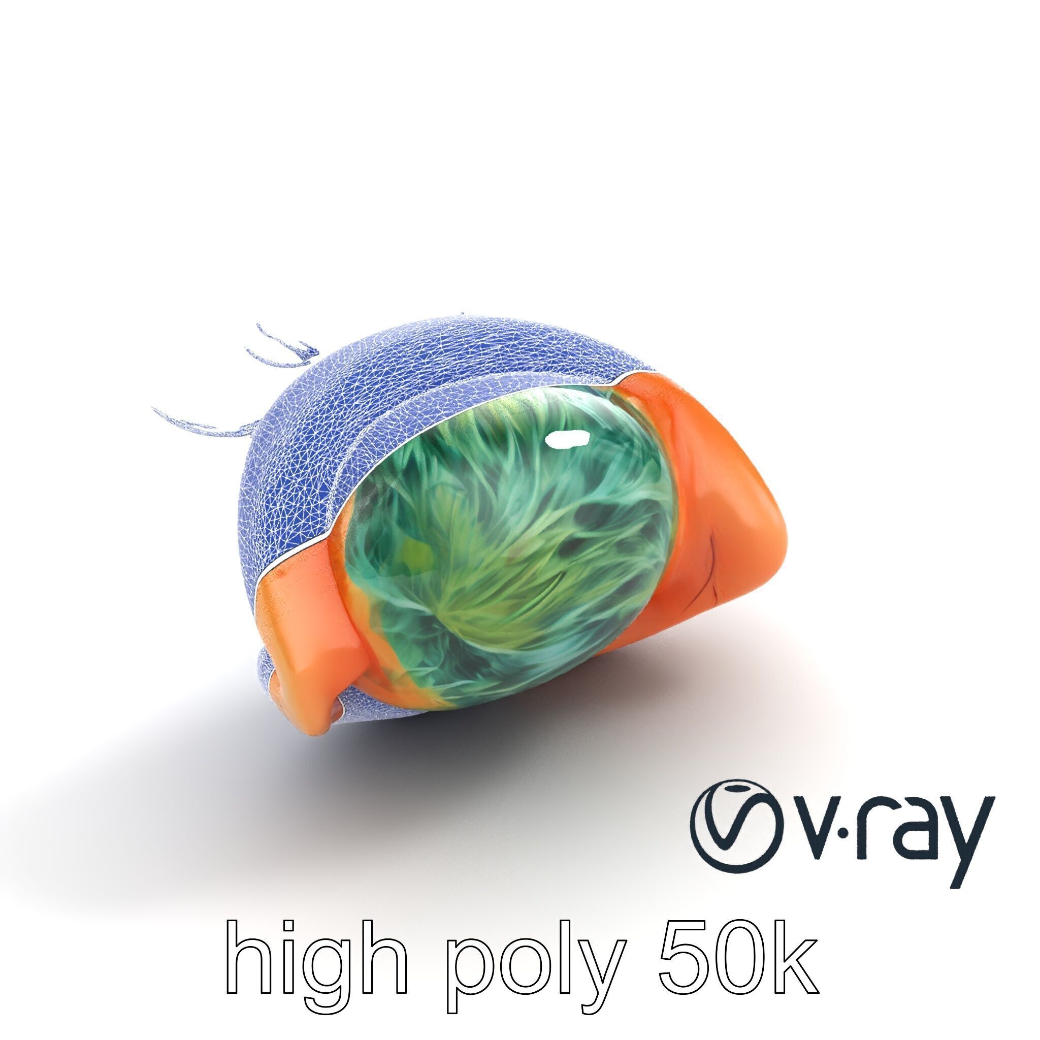 Realistic Human Eye Model Pack with Detailed Iris Low-poly 3D model_12