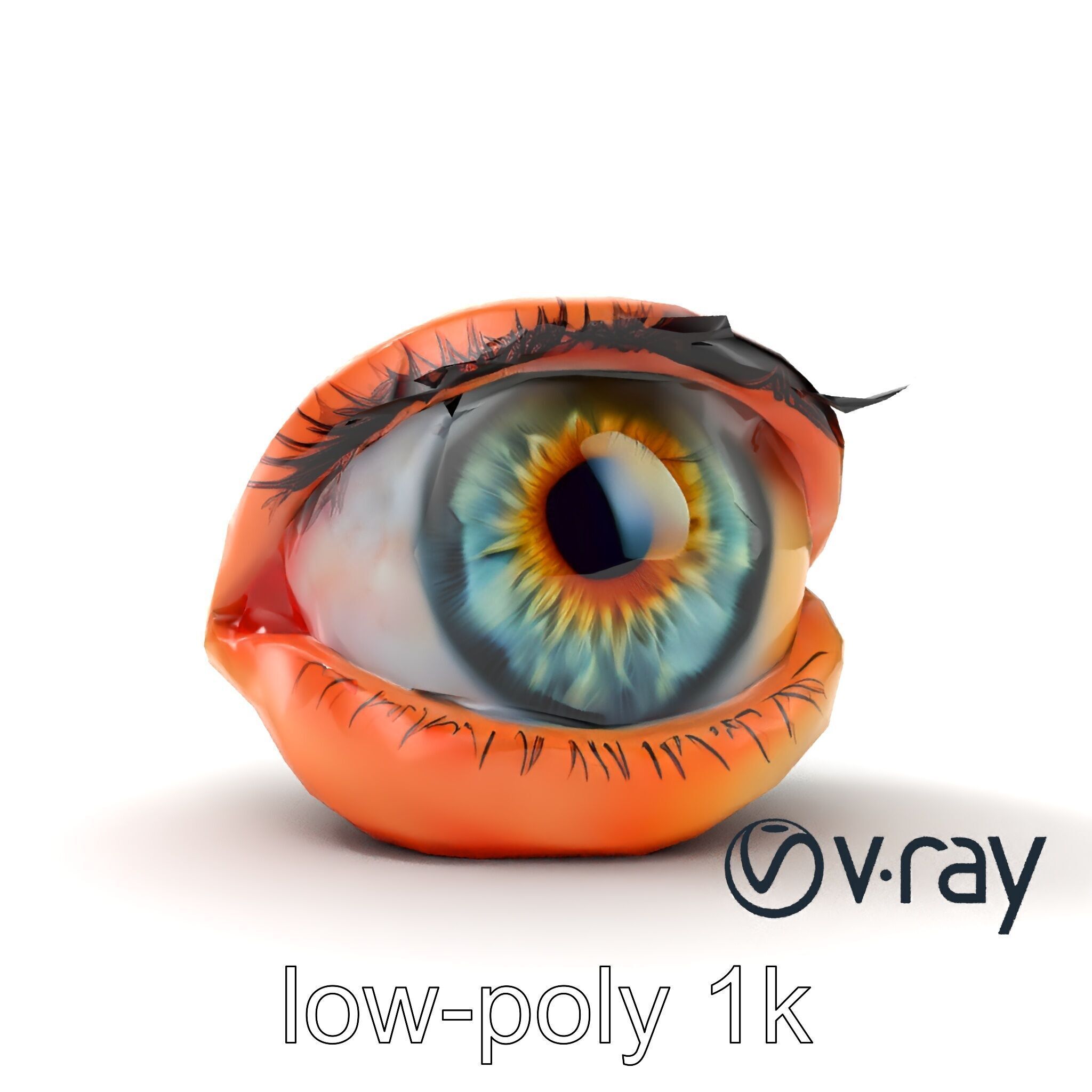 Realistic Human Eye Model Pack with Detailed Iris Low-poly 3D model_20