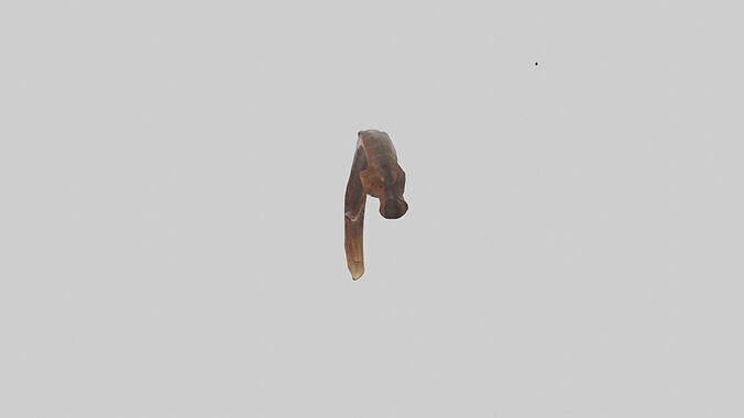 Moose Rib Low-poly 3D model
