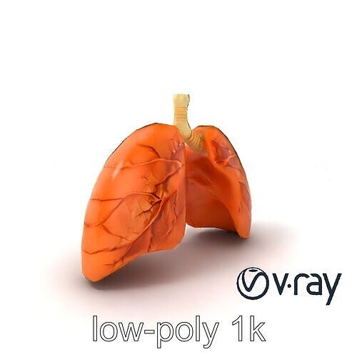 Realistic Human Lungs Anatomy model pack Low-poly 3D model
