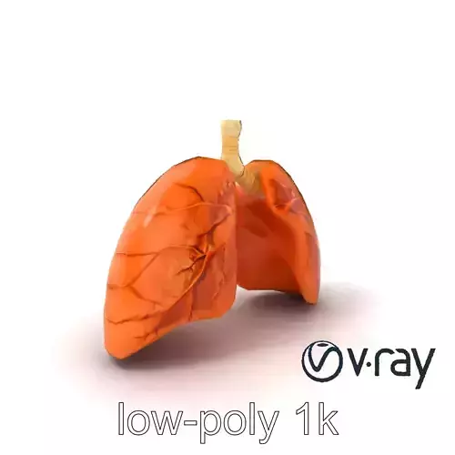 Realistic Human Lungs Anatomy model pack Low-poly 3D model