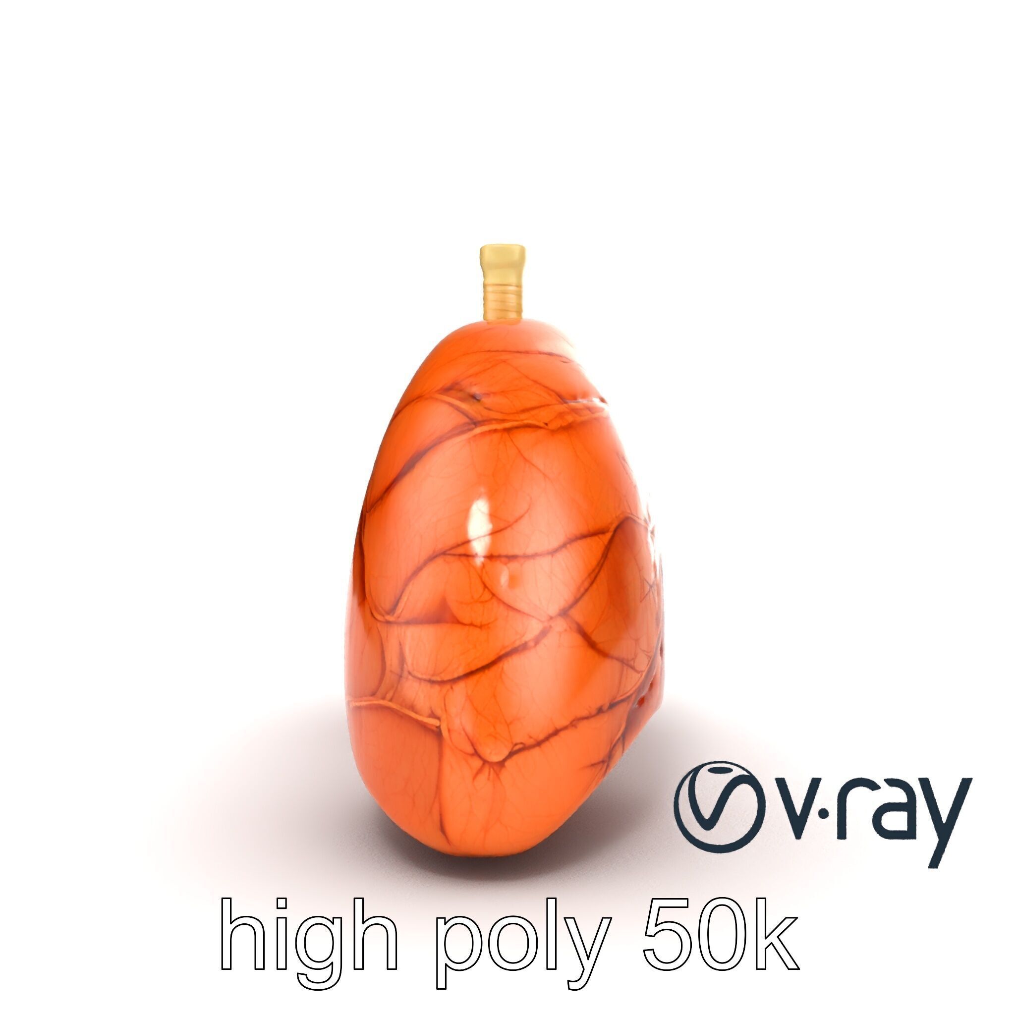 Realistic Human Lungs Anatomy model pack Low-poly 3D model_16
