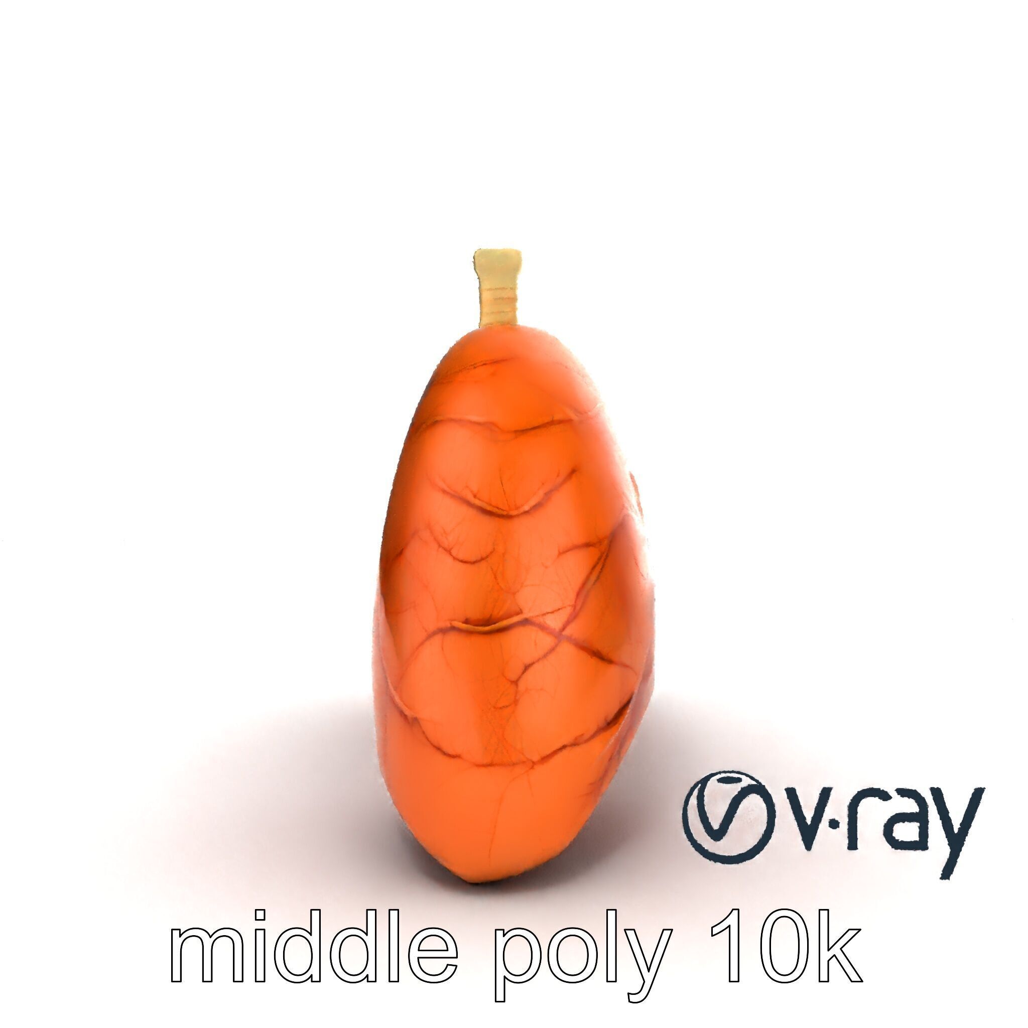Realistic Human Lungs Anatomy model pack Low-poly 3D model_18