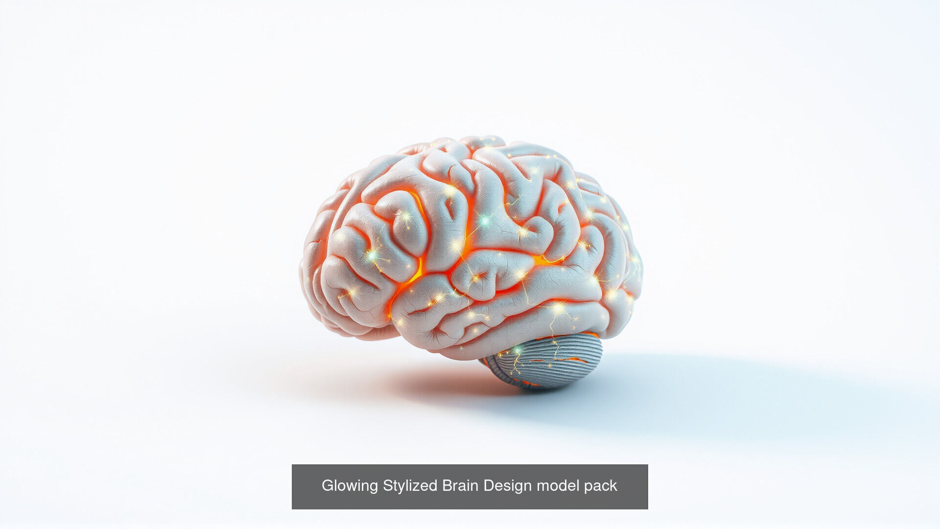 Human organs Collection Pack _17