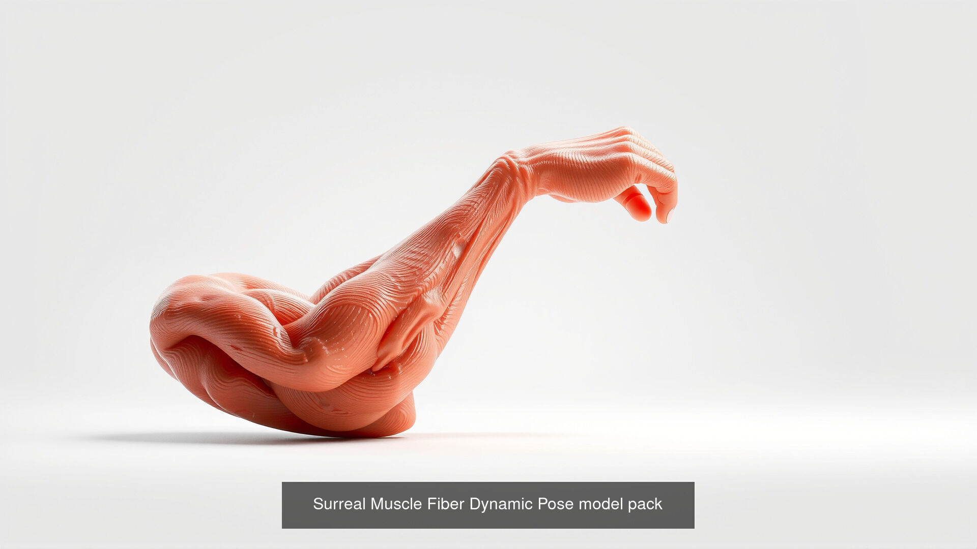 Human organs Collection Pack _24