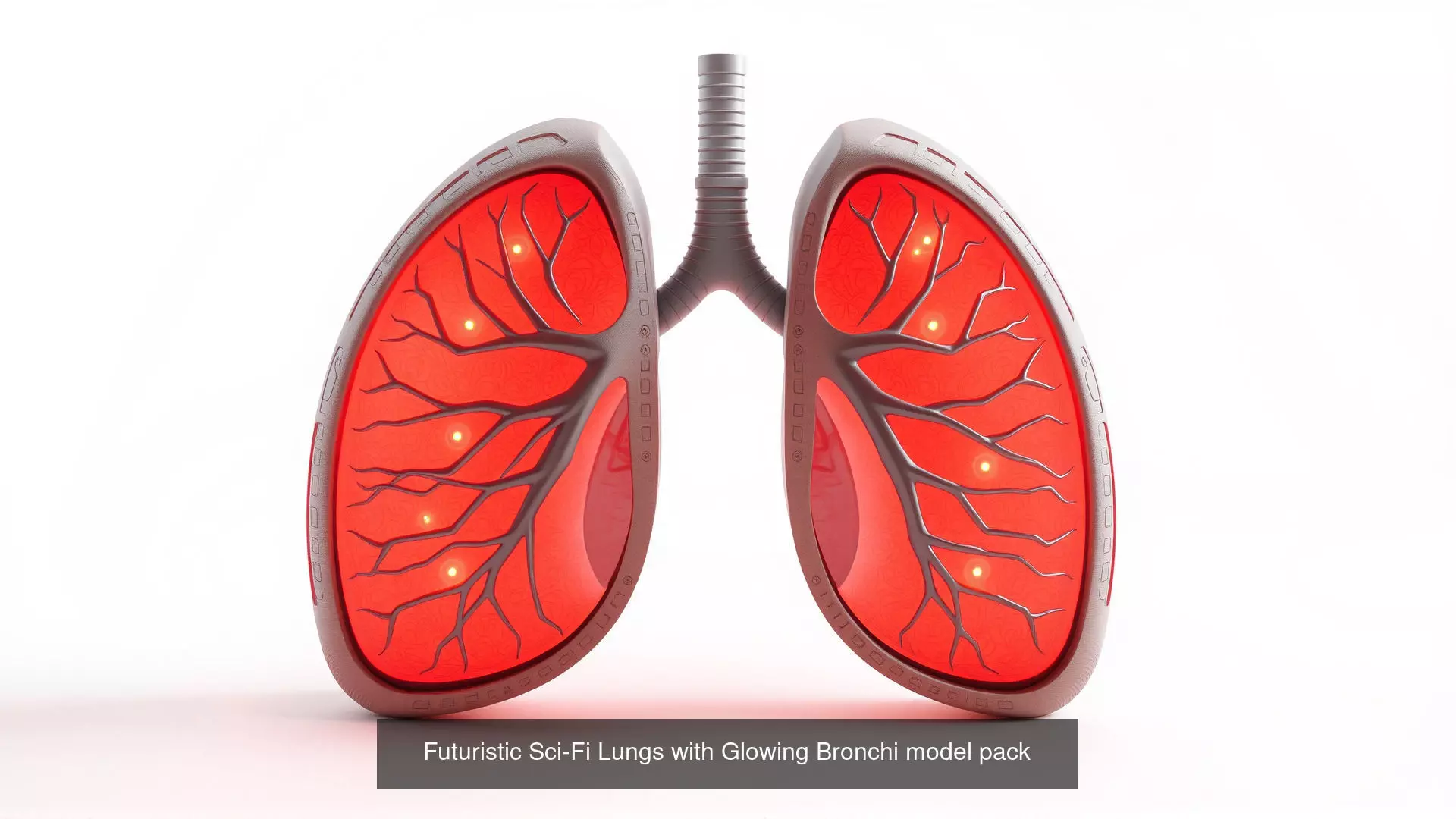 Human organs Collection Pack _0