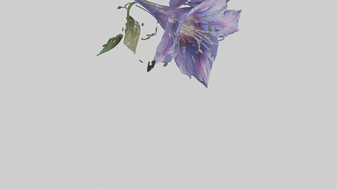 Morning Glory model Low-poly 3D model 7
