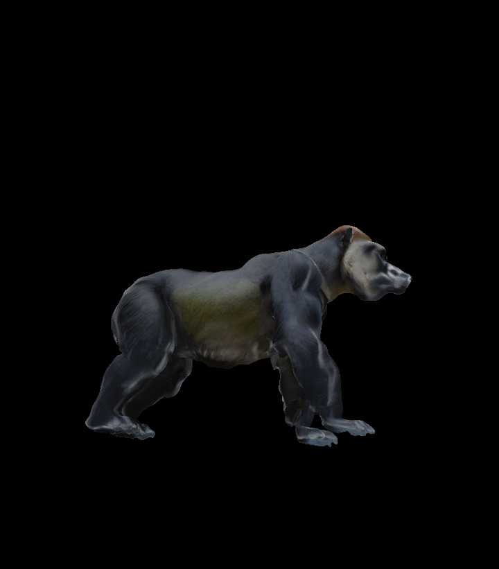 Gorilla  Low-poly 3D model_1