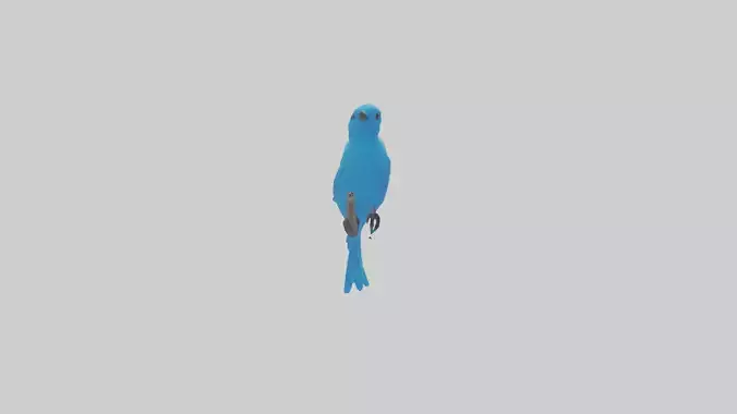 Mountain Bluebird perched model
