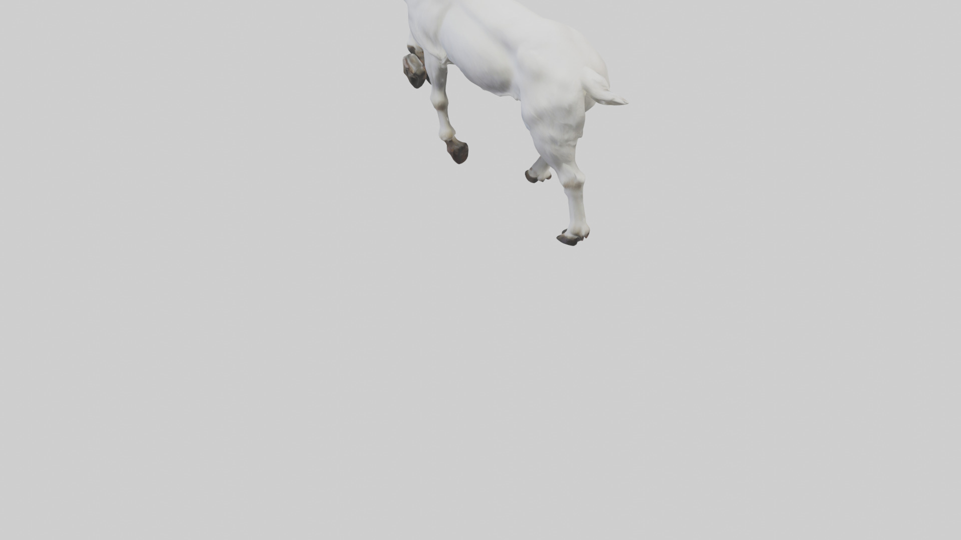 Mountain Goat scaling cliff model Low-poly 3D model_3