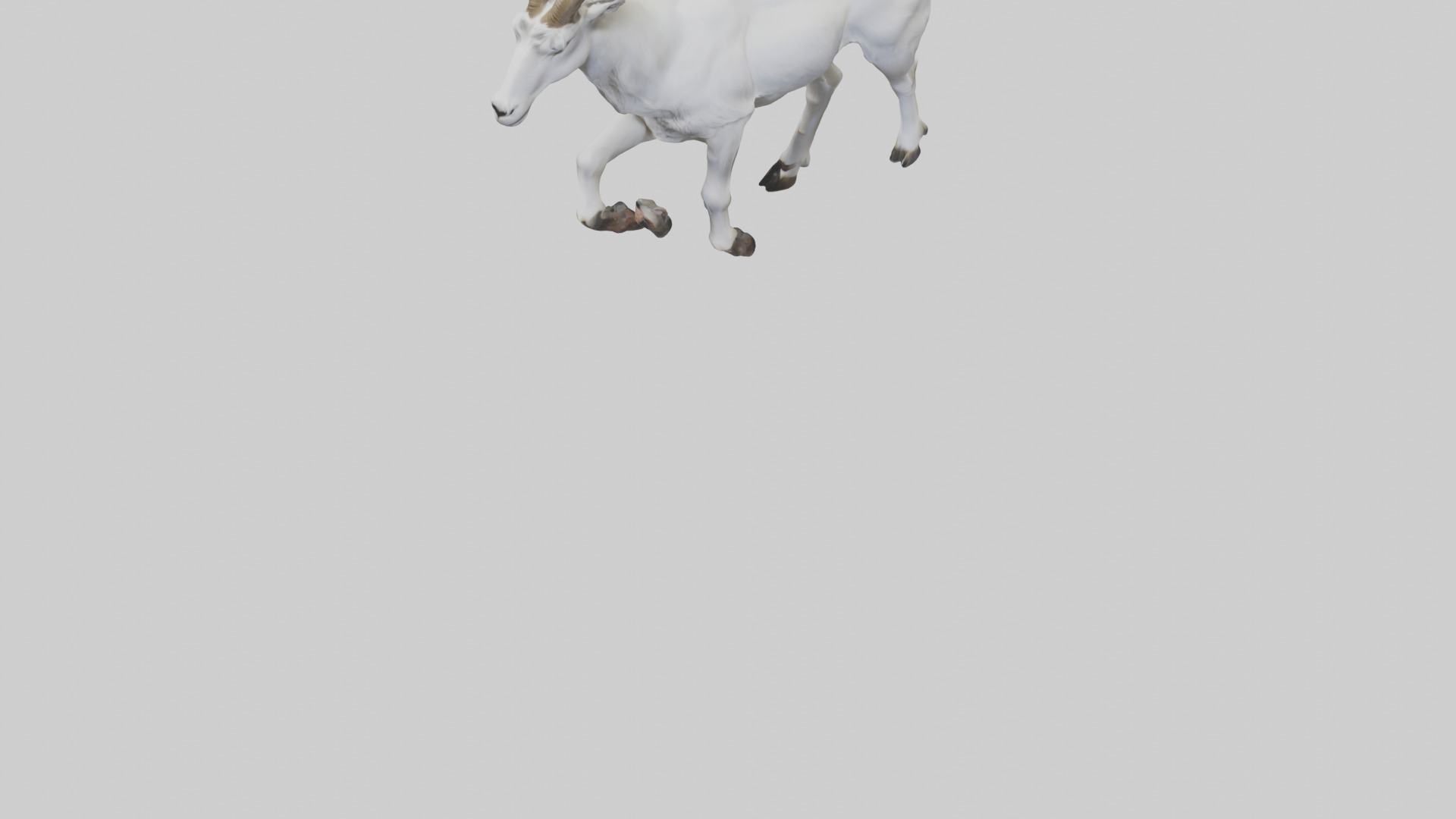 Mountain Goat scaling cliff model Low-poly 3D model_5