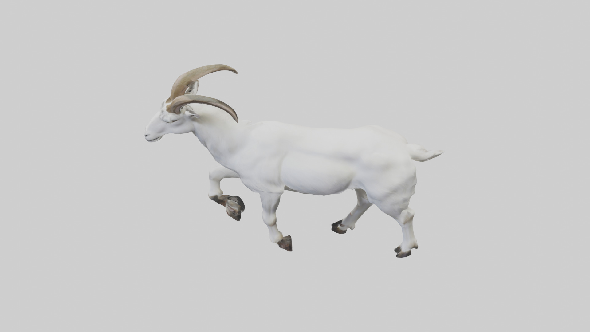 Mountain Goat scaling cliff model Low-poly 3D model_17