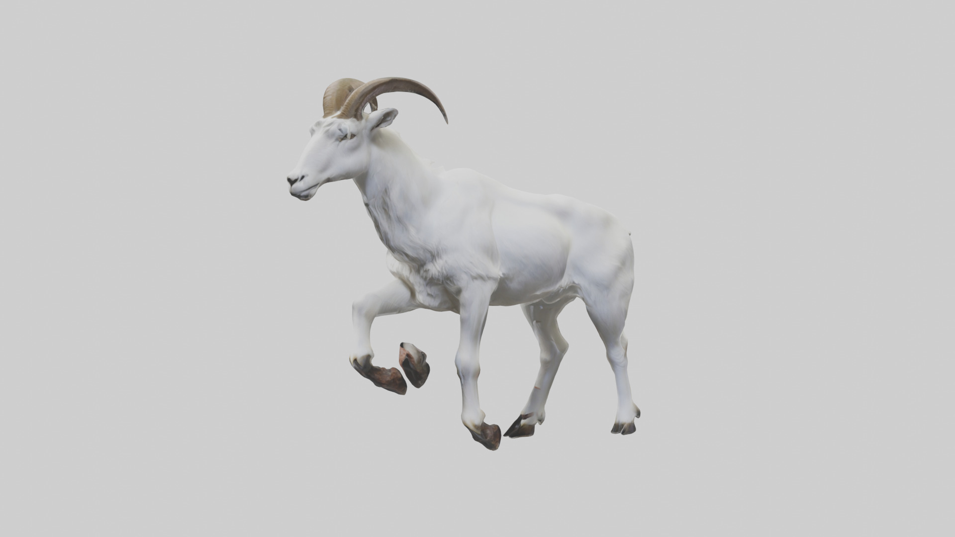 Mountain Goat scaling cliff model Low-poly 3D model_8