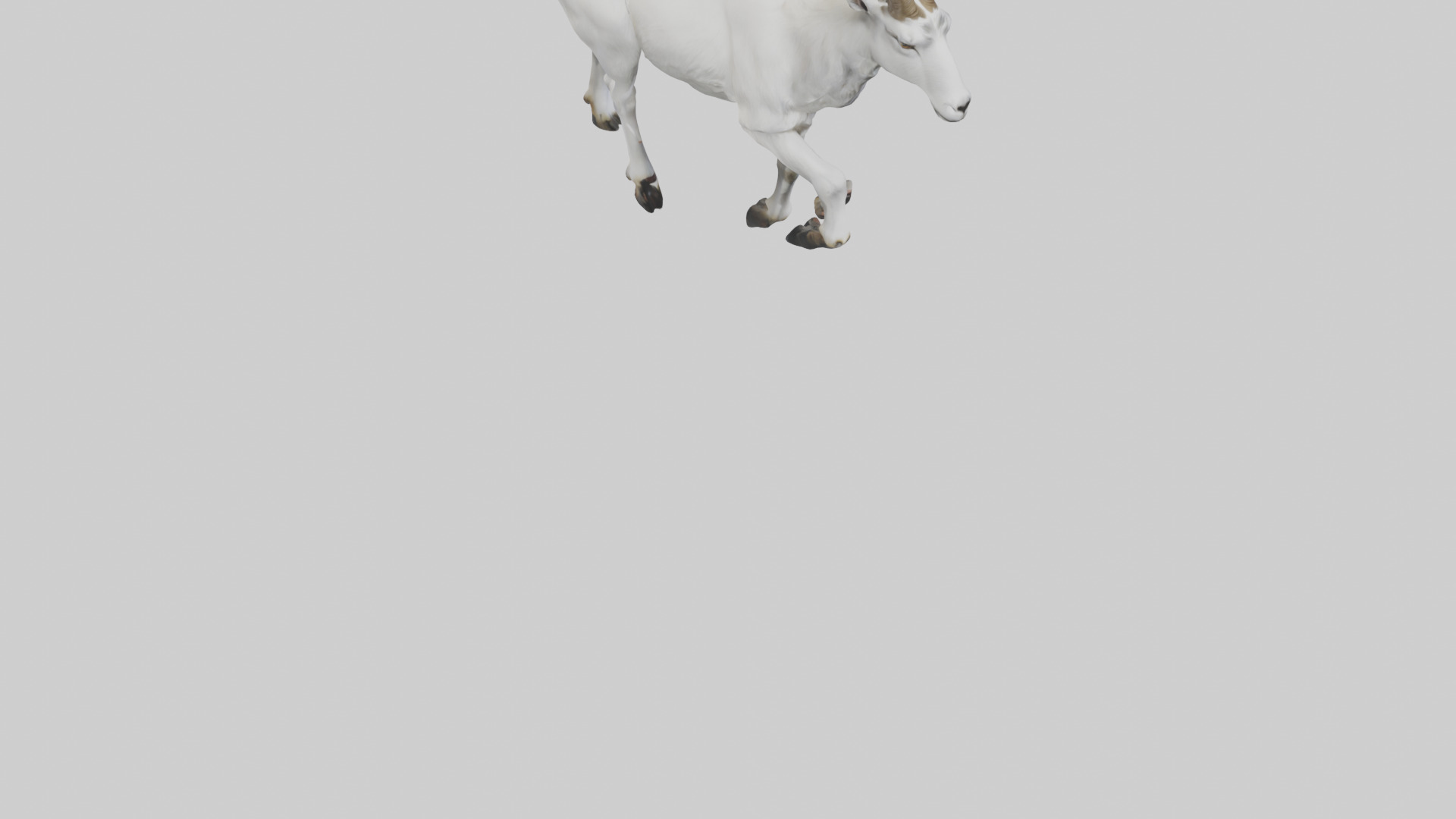 Mountain Goat scaling cliff model Low-poly 3D model_6