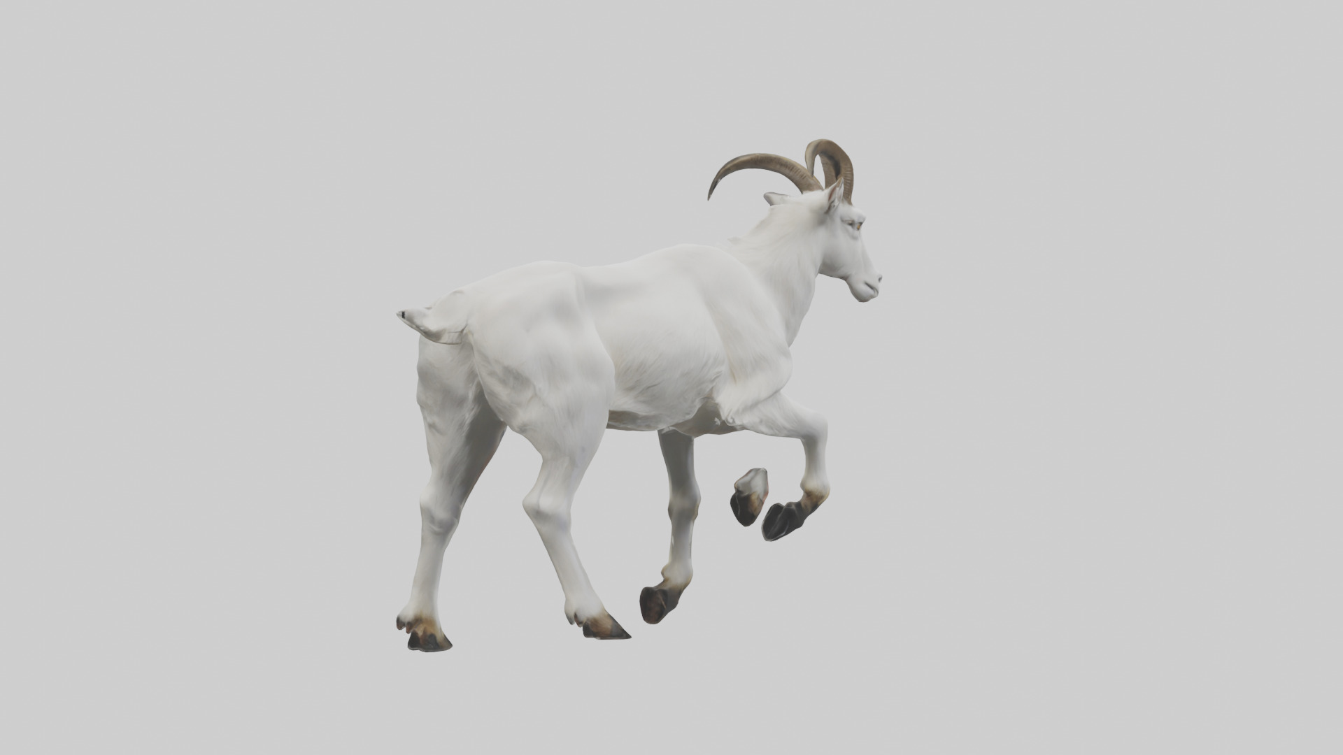 Mountain Goat scaling cliff model Low-poly 3D model_2