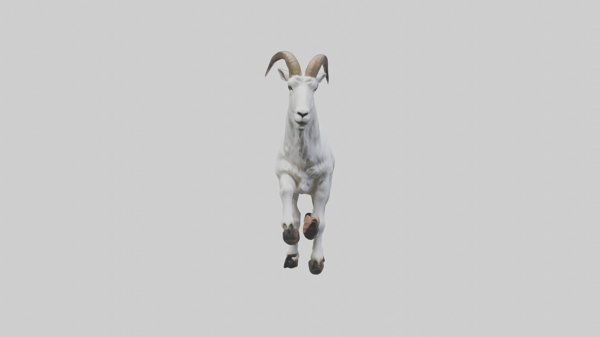 Mountain Goat scaling cliff model Low-poly 3D model_9
