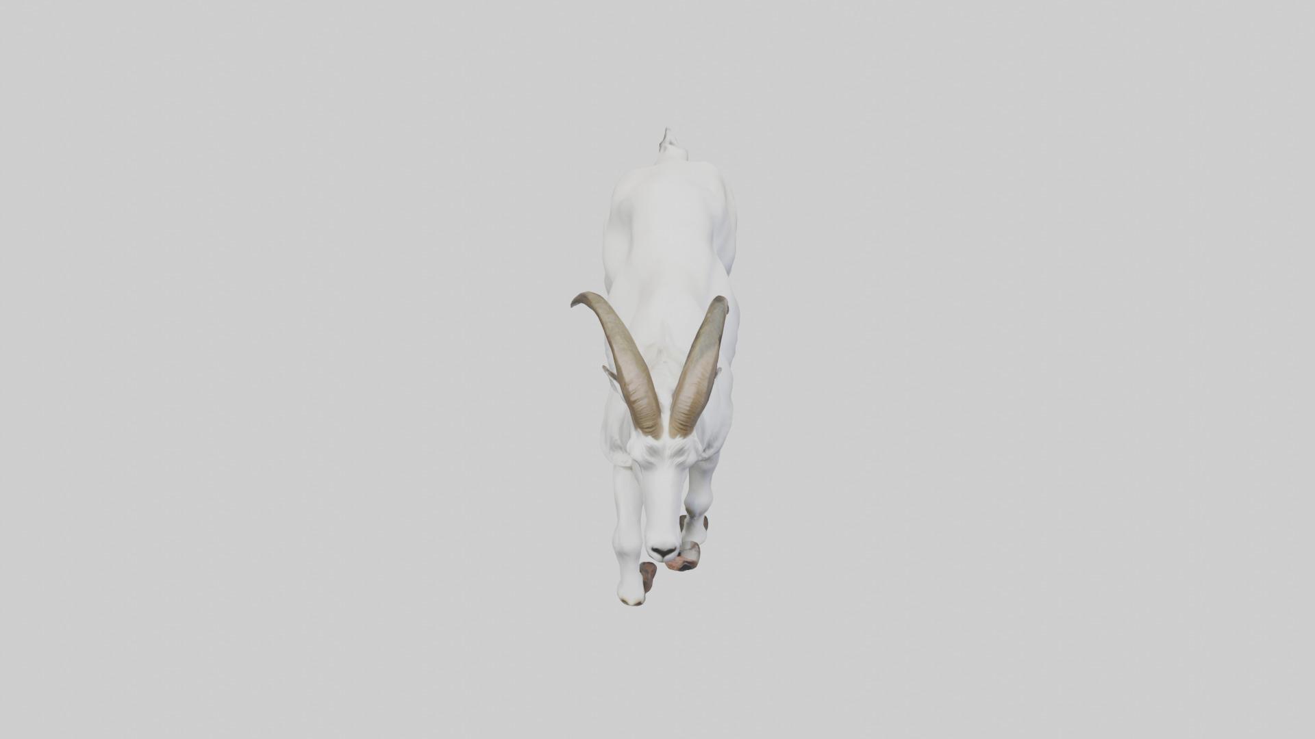 Mountain Goat scaling cliff model Low-poly 3D model_16