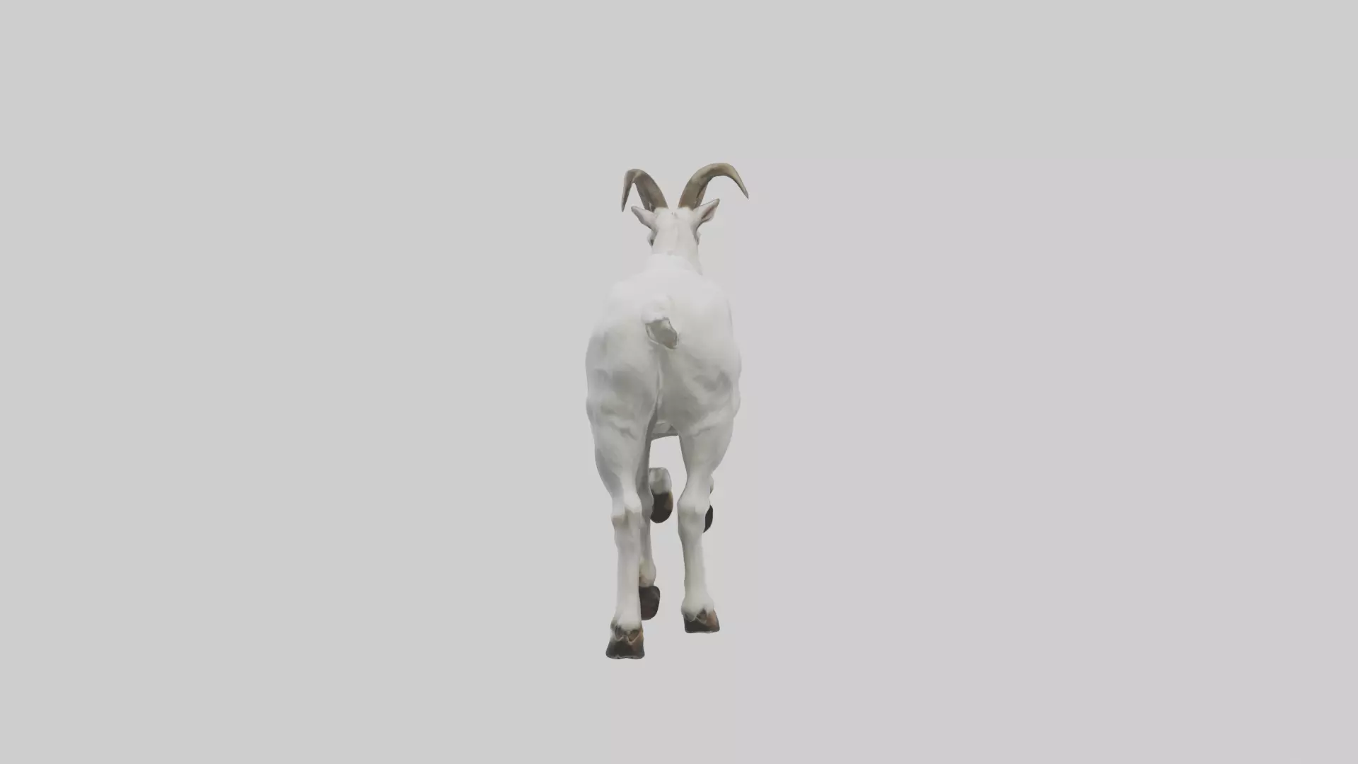 Mountain Goat scaling cliff model Low-poly 3D model_0