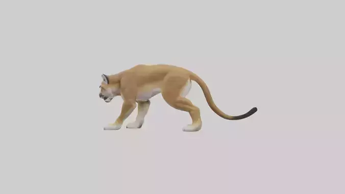 Mountain Lion hunting model