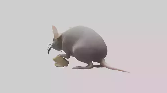 Mouse scavenging model