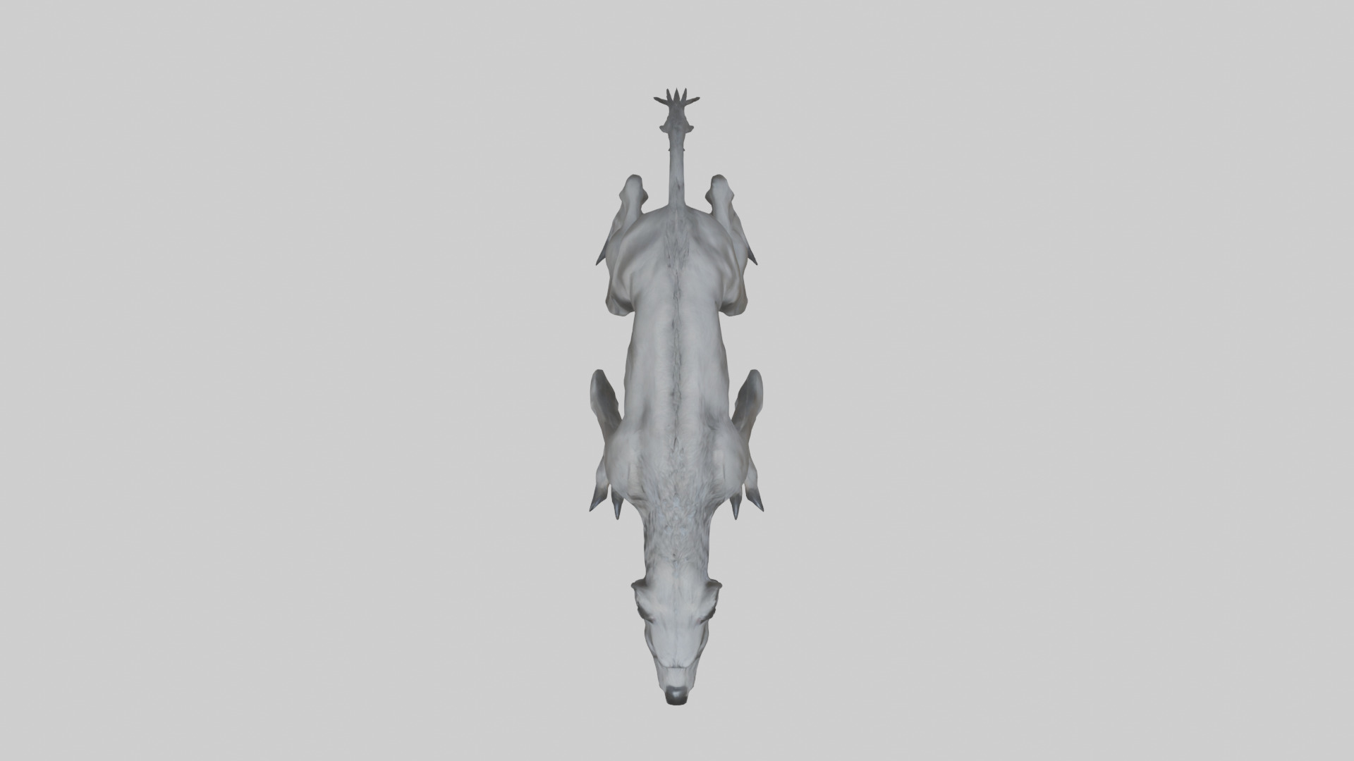 Mutated Wolf model Low-poly 3D model_14