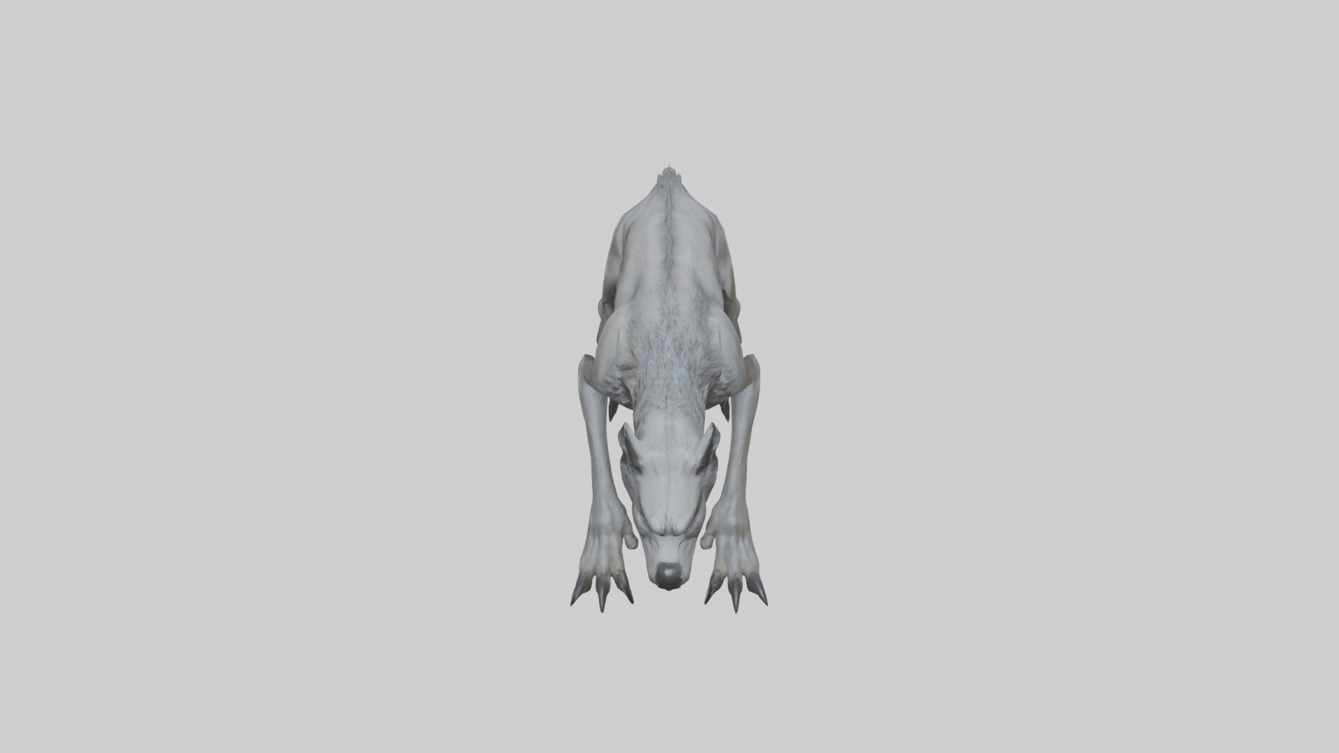 Mutated Wolf model Low-poly 3D model_16