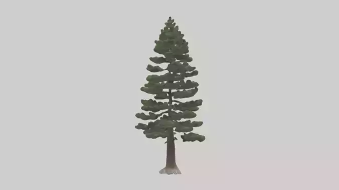 Native Pine tree model