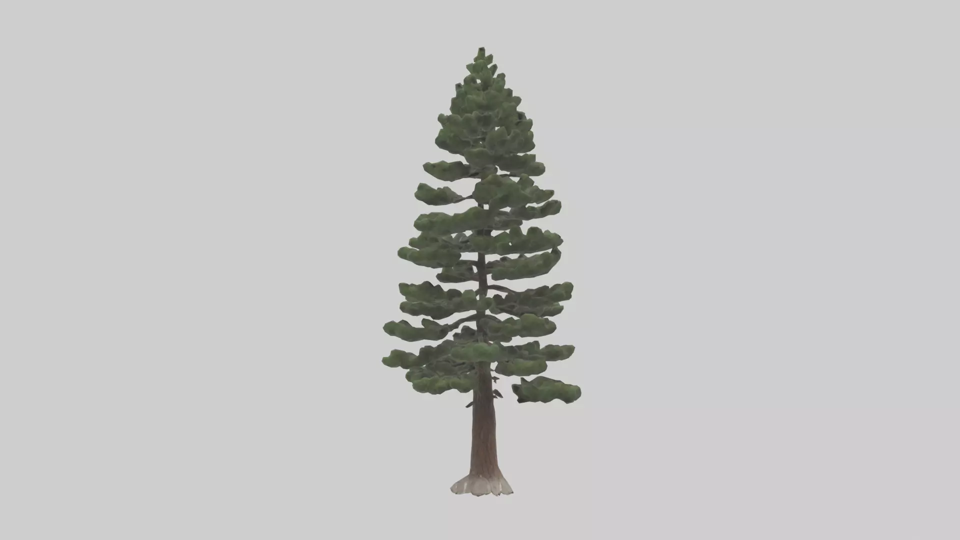 Native Pine tree model Low-poly 3D model_0