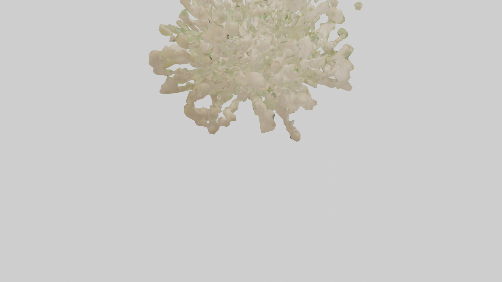 Natureinspired Wall Stickers 2 Low-poly 3D model_4