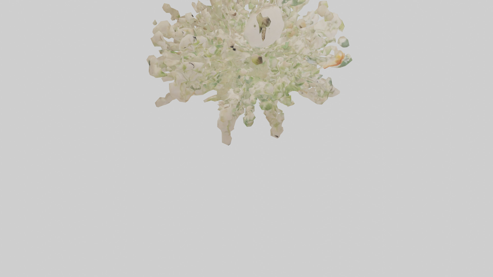 Natureinspired Wall Stickers 2 Low-poly 3D model_6