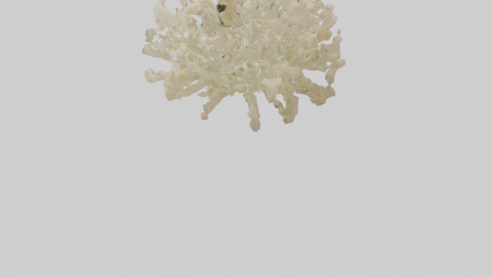 Natureinspired Wall Stickers 2 Low-poly 3D model_3